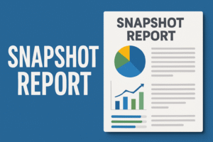 digital marketing snapshot for local businesses